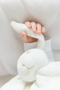 Augustin le lapin Doudou coton bio