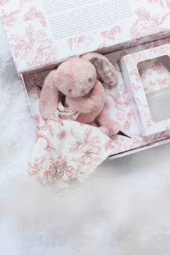 Coffret biberon et doudou Toile de jouy rose Élhée x Tartine et Chocolat