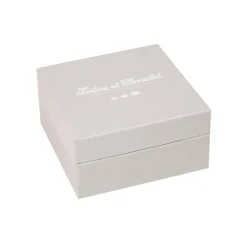 Lucien le chien doudou gris