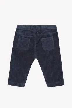 Pantalon Marine en velours
