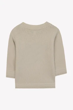 Pull Beige chiné illustration ratton laveur