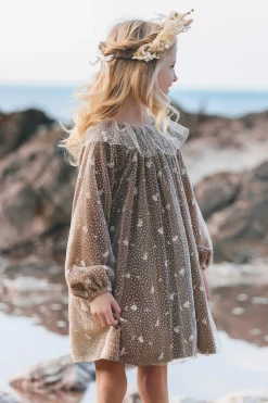 Robe Bronze velours et tulle