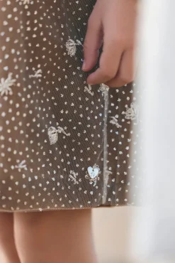 Robe Bronze velours et tulle