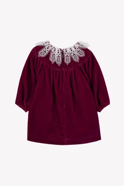 Robe Prune en velours