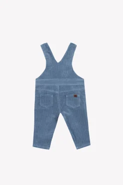 Salopette longue Bleu grisé en velours