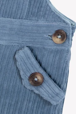 Salopette longue Bleu grisé en velours