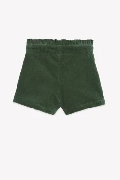 Short Vert de gris velours